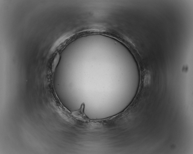 X0000115641448200911241659