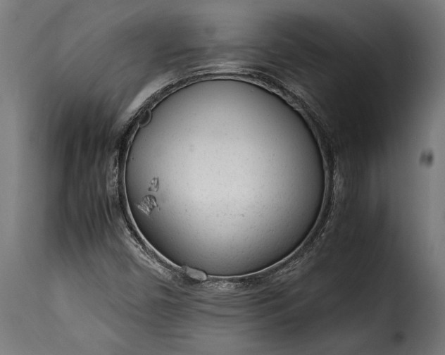 X0000115641450200911241659