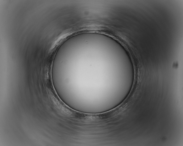 X0000115641451200911241659