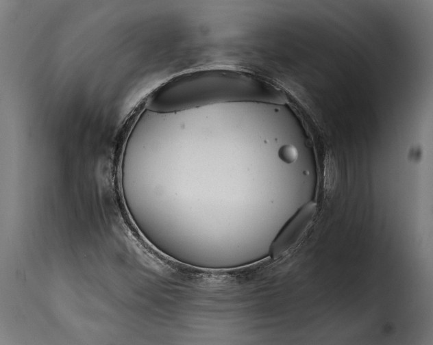 X0000115641452200911241659