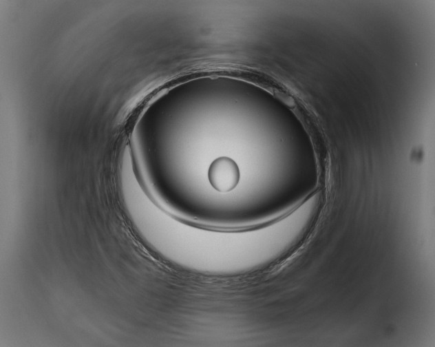 X0000115641453200911241659