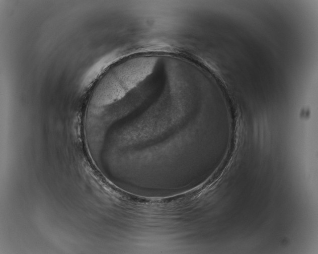 X0000115641455200911241659