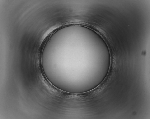 X0000115641458200911241659