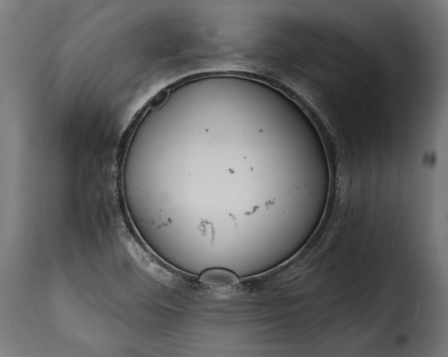 X0000115641460200911241659