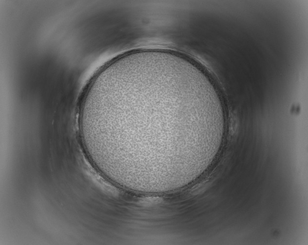 X0000115641462200911241659