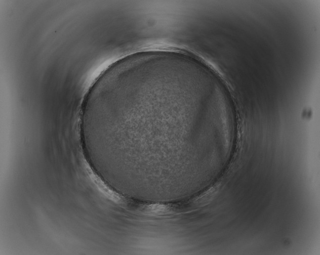 X0000115641463200911241659