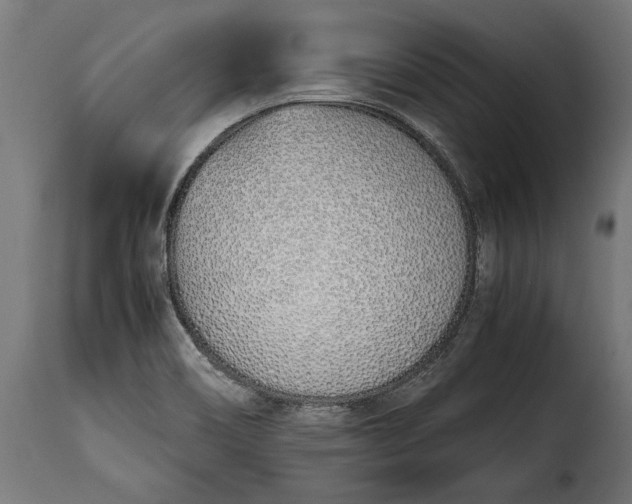 X0000115641466200911241659