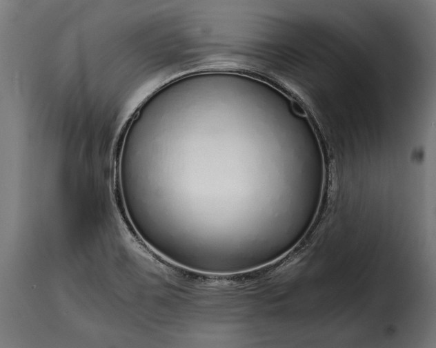 X0000115641467200911241659