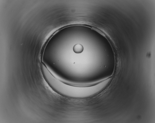 X0000115641468200911241659