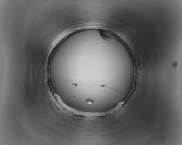 X0000115641469200911241659