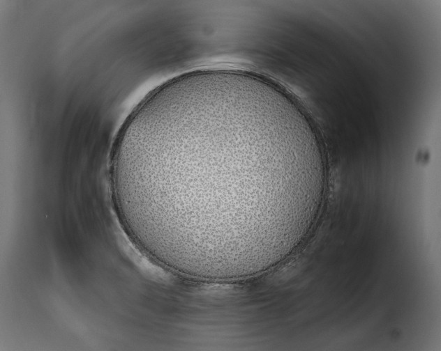 X0000115641470200911241659