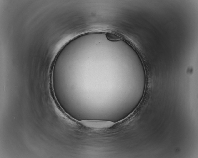 X0000115641471200911241659