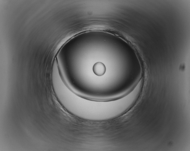 X0000115641473200911241659