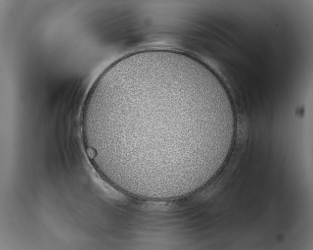 X0000115641474200911241659