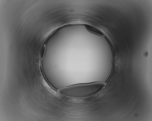 X0000115641476200911241659