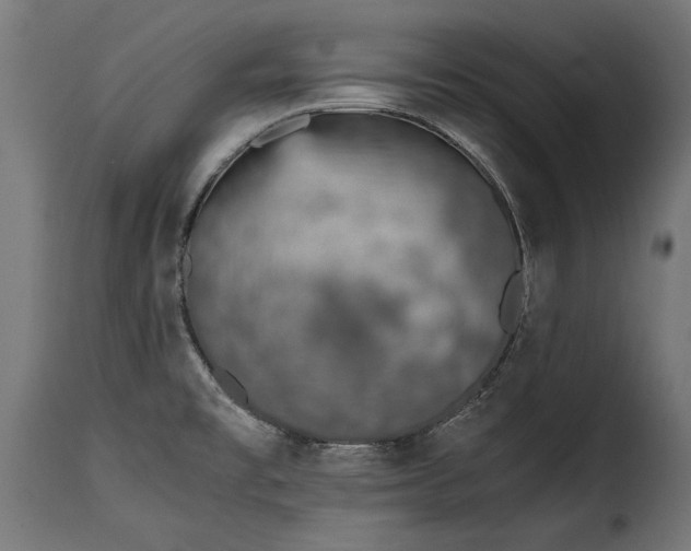 X0000115641477200911241659