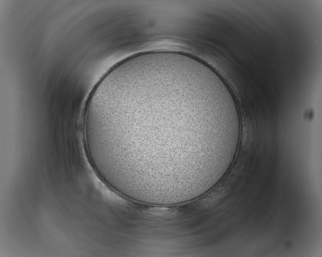 X0000115641478200911241659