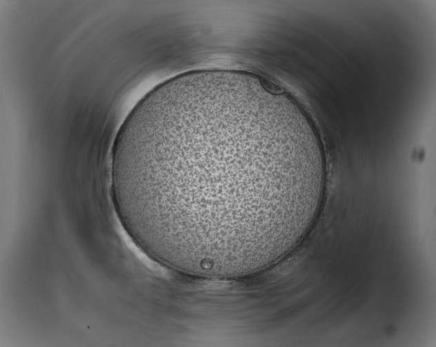 X0000115641479200911241659