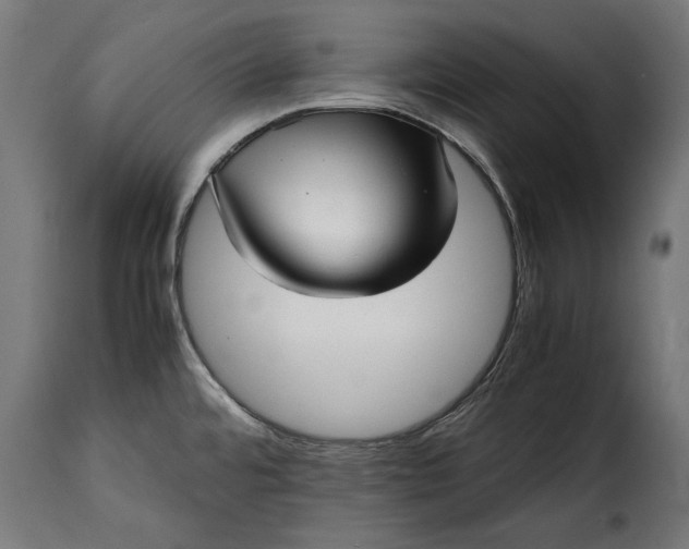 X0000115641480200911241659