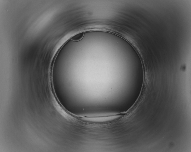 X0000115641482200911241659