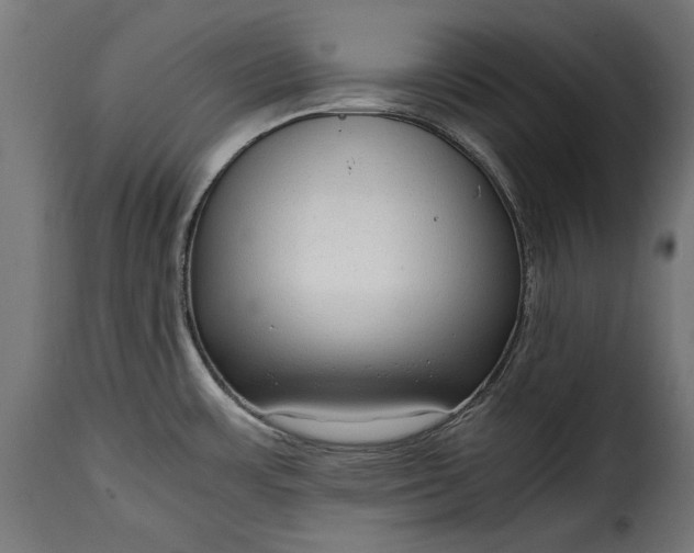 X0000115641483200911241659