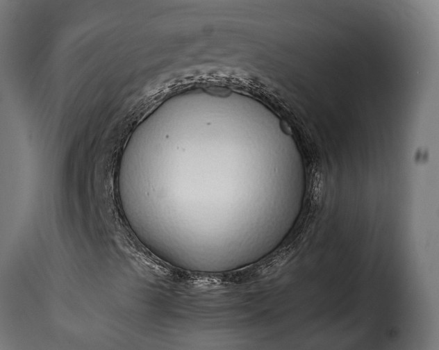 X0000115641489200911241658