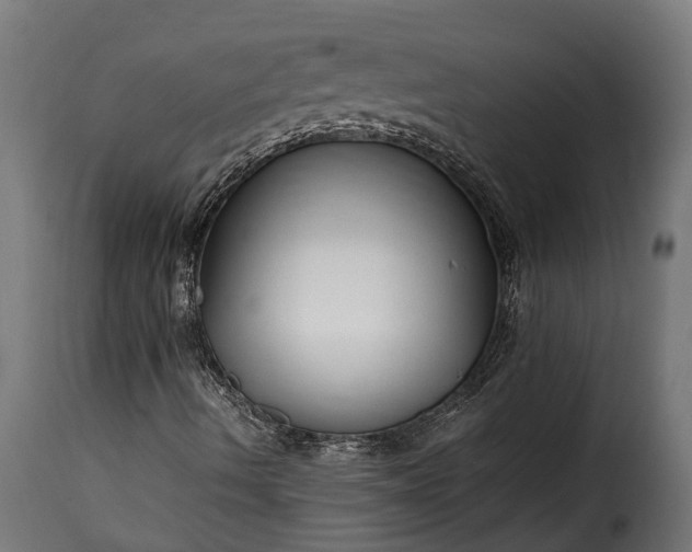 X0000115641490200911241658