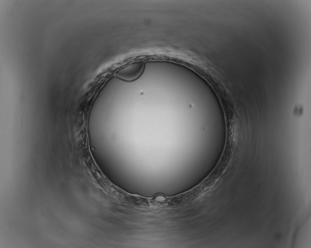 X0000115641494200911241658