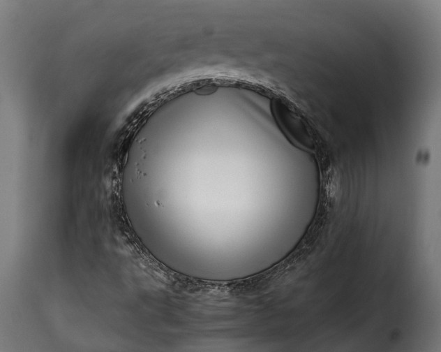 X0000115641495200911241658