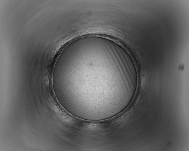 X0000115641497200911241658