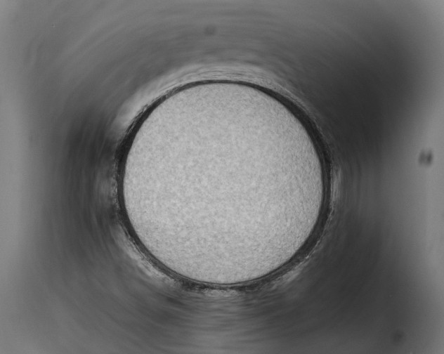 X0000115641498200911241658