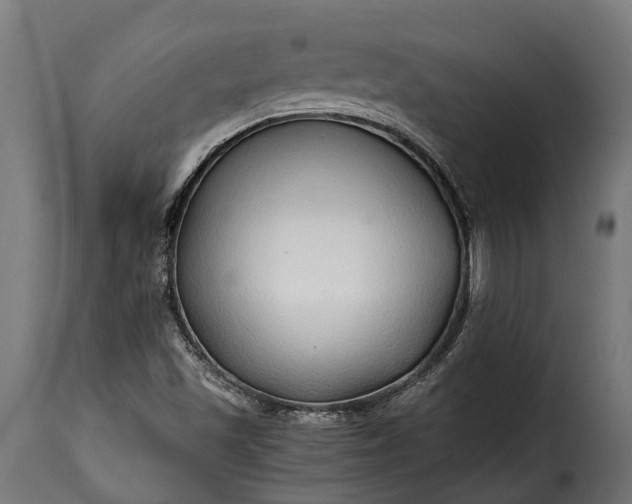 X0000115641501200911241658