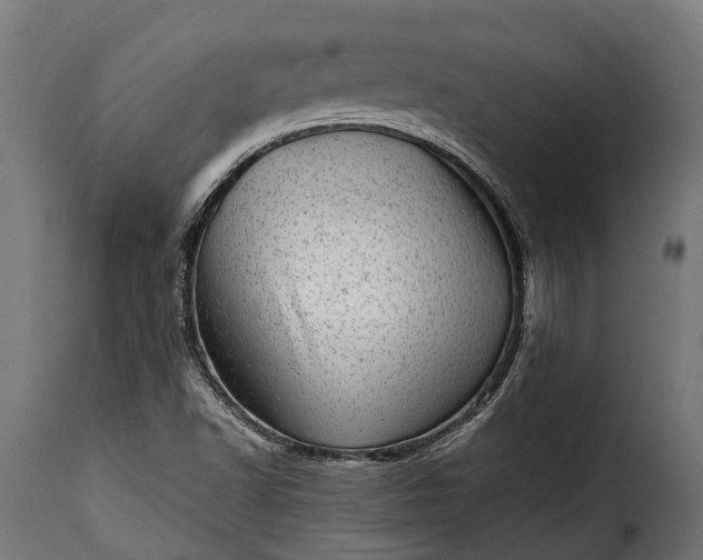 X0000115641502200911241658