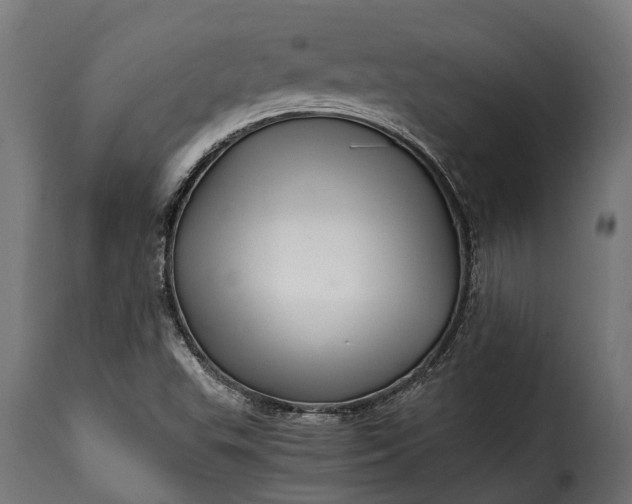 X0000115641503200911241658