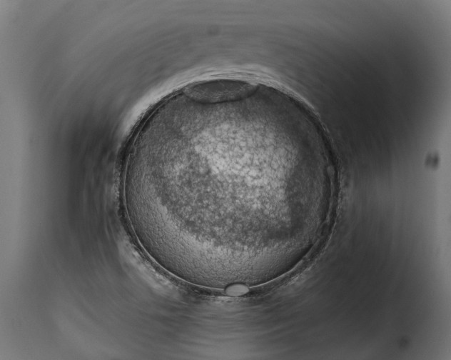 X0000115641506200911241658