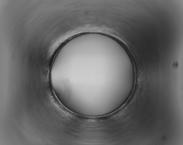 X0000115641507200911241658