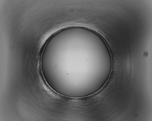 X0000115641511200911241658