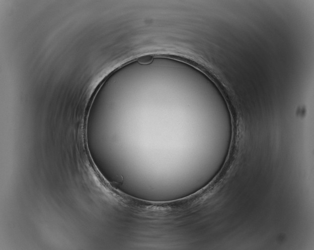 X0000115641513200911241658