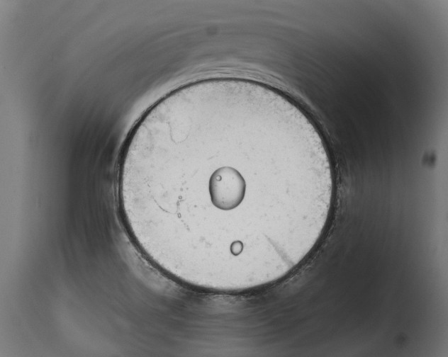 X0000115641514200911241658