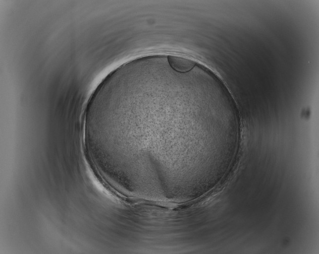 X0000115641515200911241658