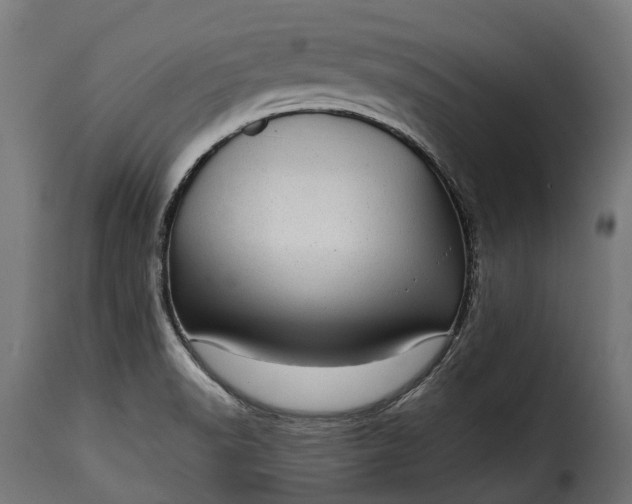 X0000115641518200911241658