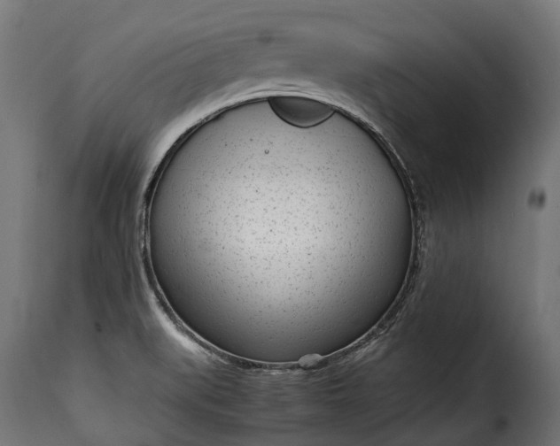 X0000115641519200911241658