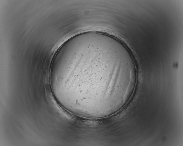 X0000115641521200911241658