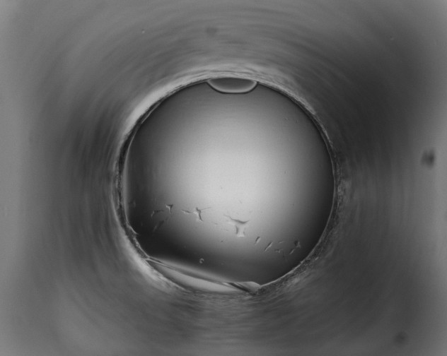 X0000115641523200911241658