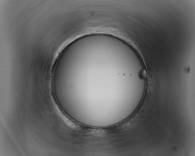 X0000115641525200911241658