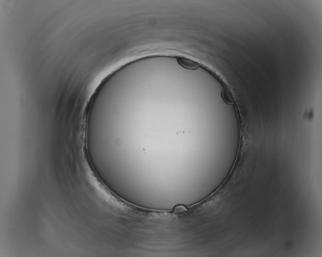 X0000115641526200911241658