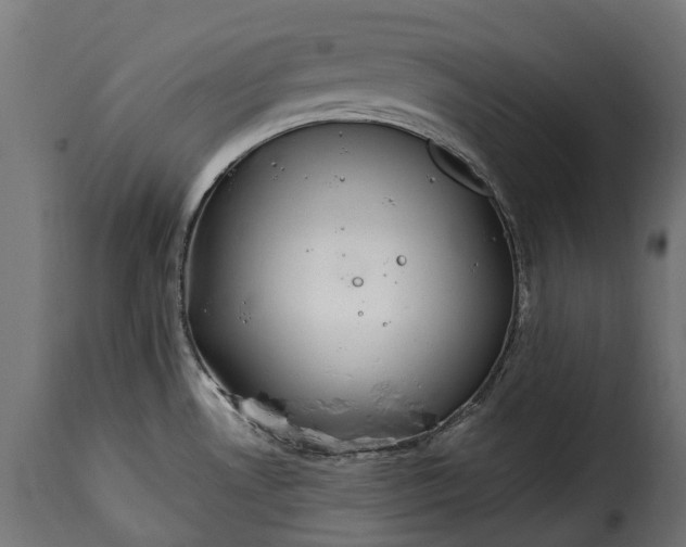 X0000115641530200911241659