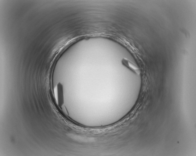 X0000115640002200912011511