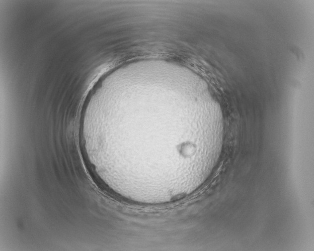 X0000115640003200912011511
