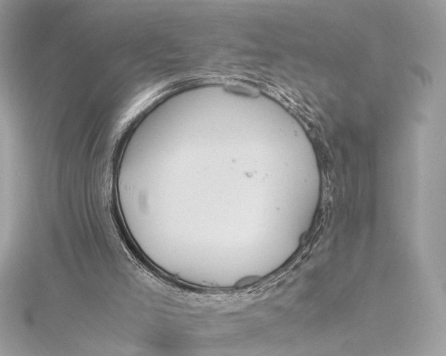 X0000115640005200912011511